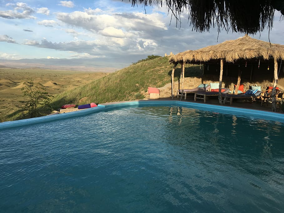 Tanzania, Masai Mara, Wildlife, kilimanjaro, water, nature, HD wallpaper