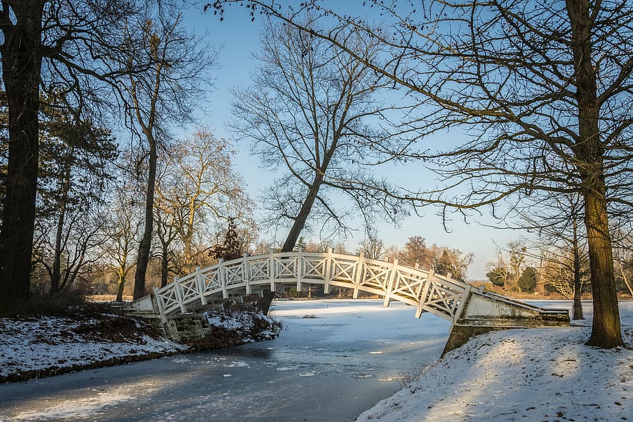 photo of white bridge during daytime, winter, park, park wörlitz HD wallpaper