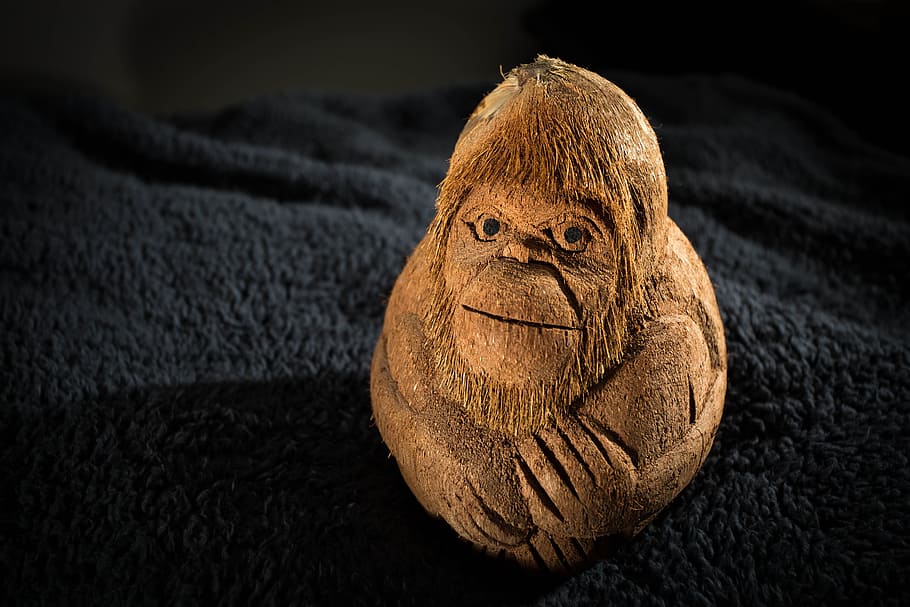 Monkey, Carving, Carved, Coconut, Face, beard, animal, mammal HD wallpaper