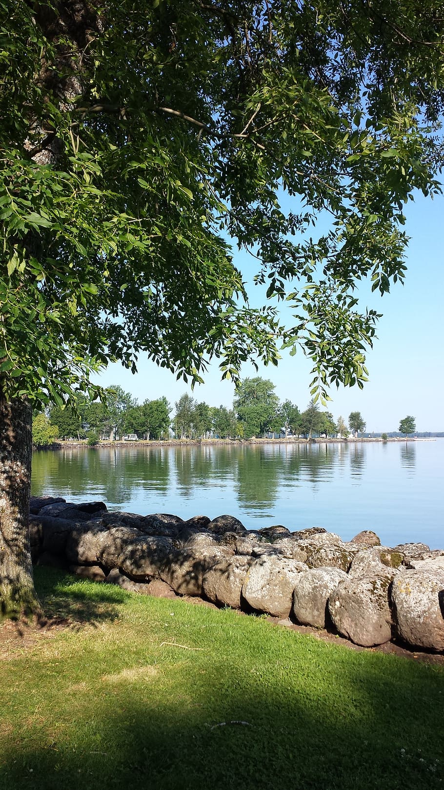 wall, lake, summer, tree, landscapes, plant, water, tranquility HD wallpaper