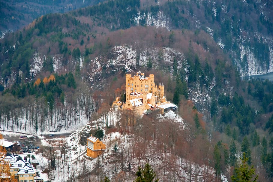 austria, bavaria, alps, architecture, forest, neuschwanstein HD wallpaper