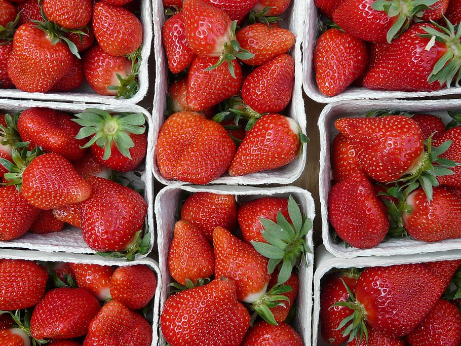 Strawberries, Fruit, Tasty, Berry, red, food, ripe, sweet, vitamins HD wallpaper