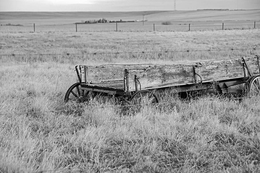 rustic, wagon, wooden, black And White, nature, rural Scene HD wallpaper