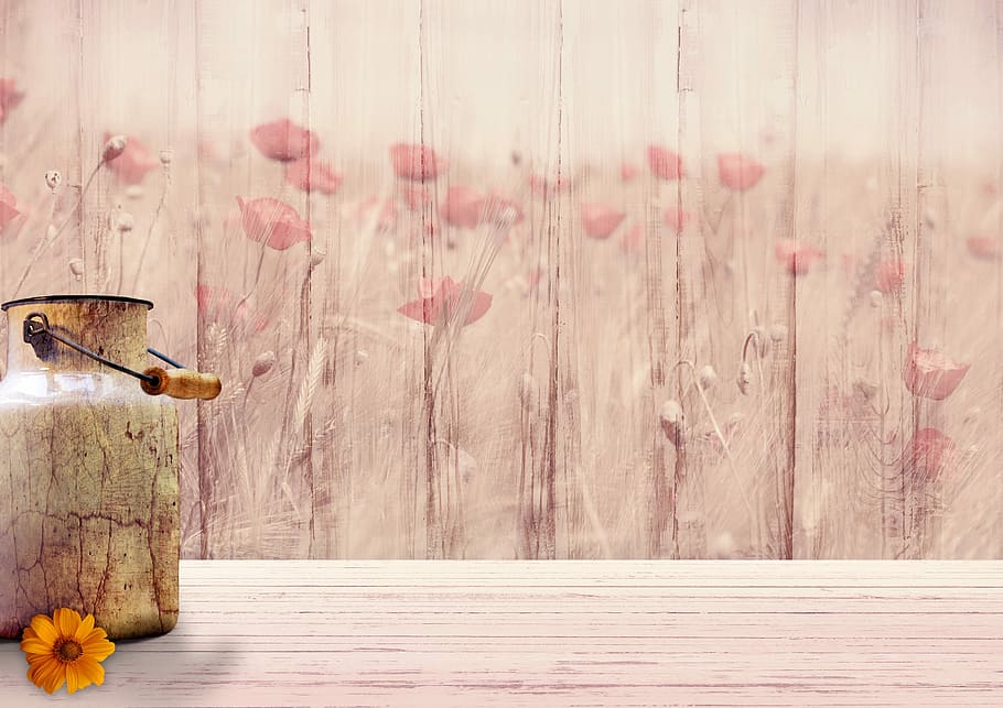 brown milk can near poppy-painted wall, background image, flowers