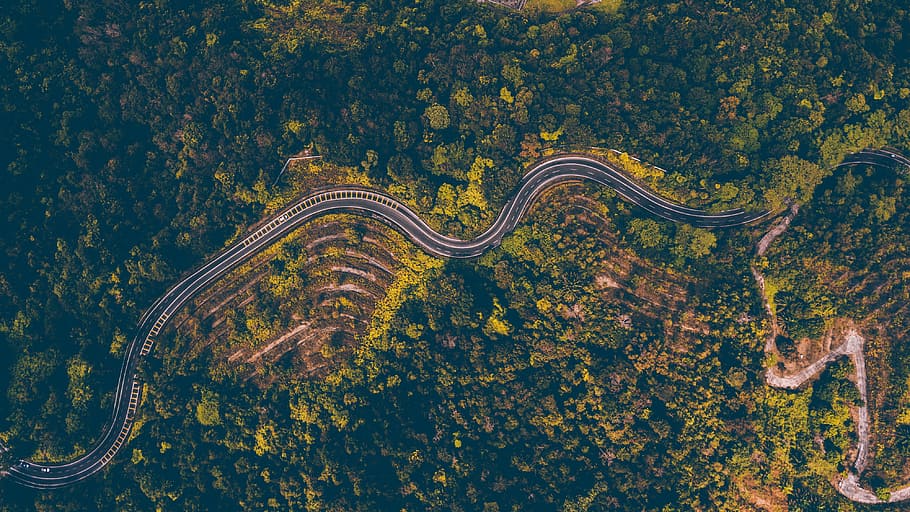 aerial photography of road surrounded with green trees, bird's eye view of highway during daytime