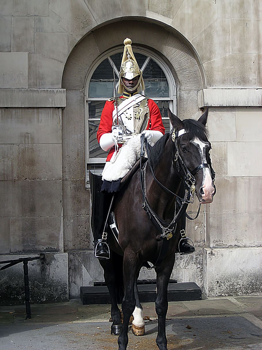 horse, guard, london, english, architecture, domestic animals, HD wallpaper