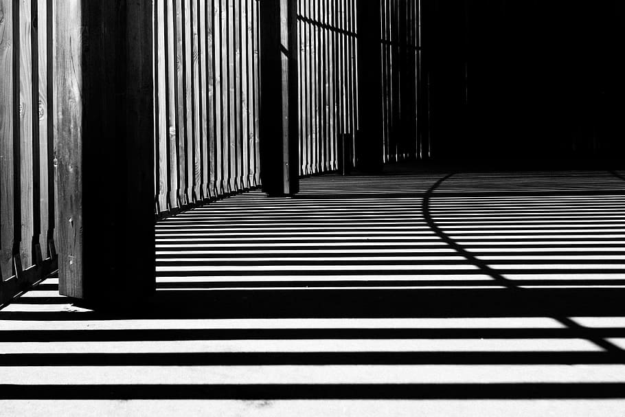 grayscale photography of cages, light by balcony, silhouette HD wallpaper