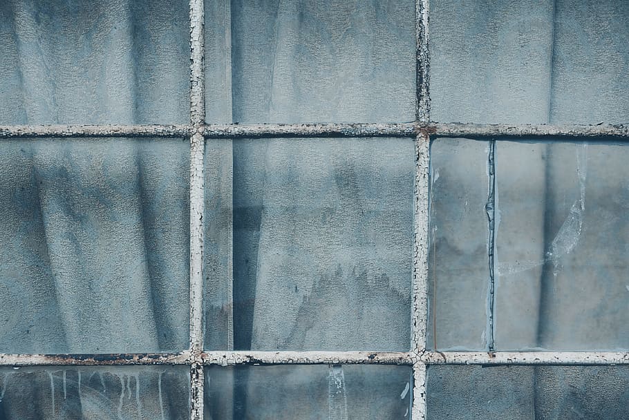 grey metal grill on clear glass window closeup photography, gray metal frame glass window closed HD wallpaper