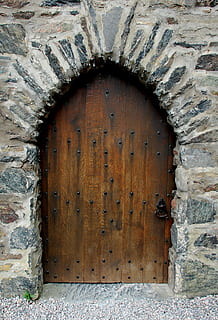 HD wallpaper: brown wooden panel door near green plant, castle, walls