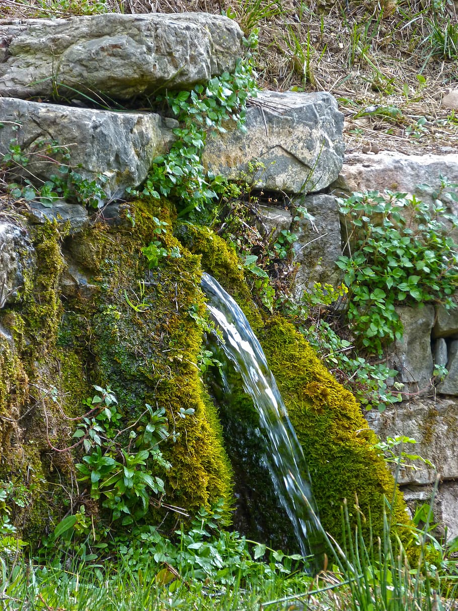 source, waterjet, moss, rock, plant, solid, rock - object, growth HD wallpaper