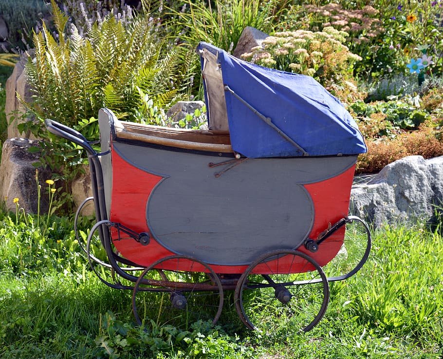 stroller, wood, former, old, plant, growth, nature, day, land HD wallpaper