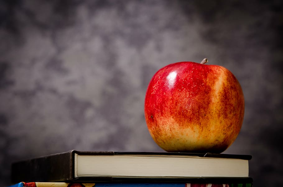 red apple on top on black covered book, ripe, textbook, class HD wallpaper