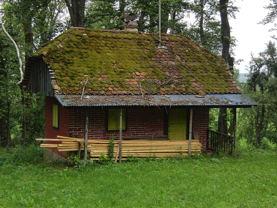 forest, house, nature, tree, home, wood, green, cottage, green house HD wallpaper