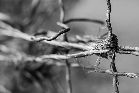 wire, twine, fence, torn, atmosphere, architecture, building HD wallpaper