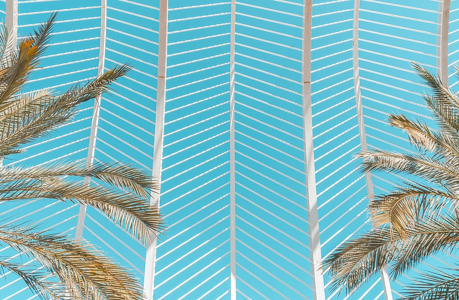 white concrete structure during daytime photo, palm tree leaves during daytime HD wallpaper