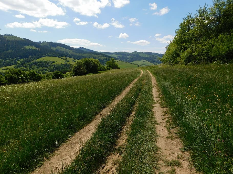 lane, meadow, forest, mountain, hill, path, clouds, country HD wallpaper