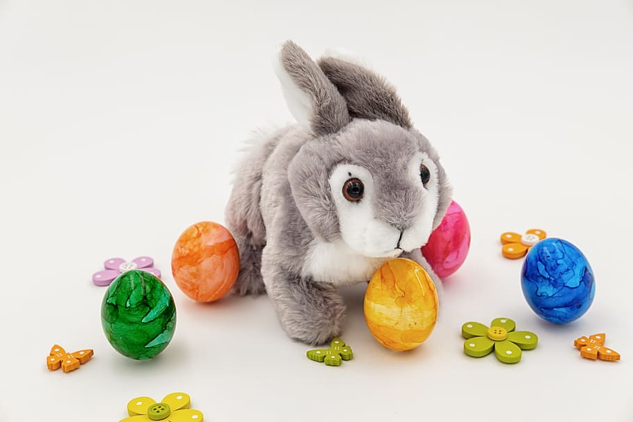 gray and white rabbit plush toy near egg toys, hare, easter bunny HD wallpaper