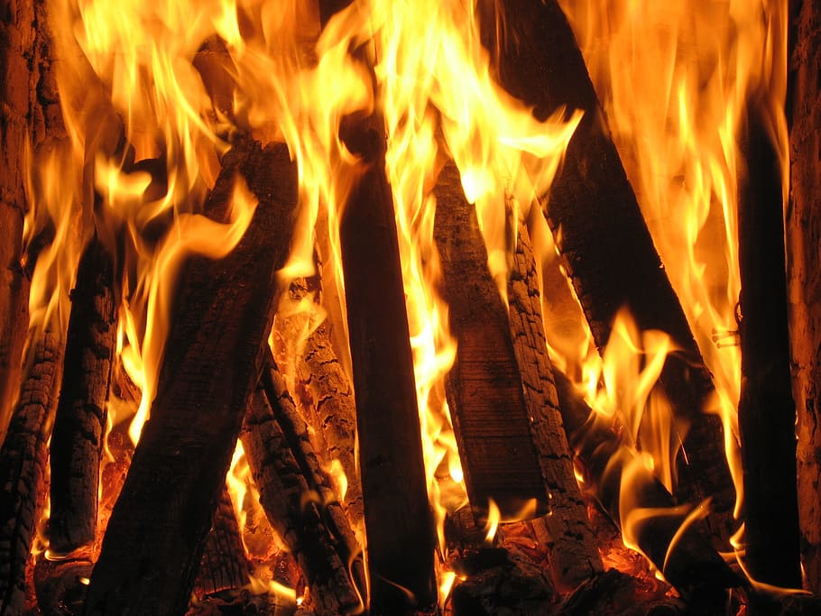 fireplace, firefox, tree, flame, heat, passion, burning, fire - natural phenomenon HD wallpaper