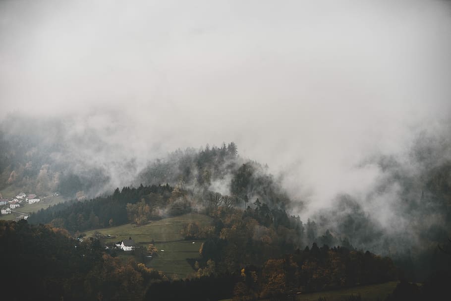 building surrounded by trees background of mountain view, landscape photography of trees cover with fog HD wallpaper