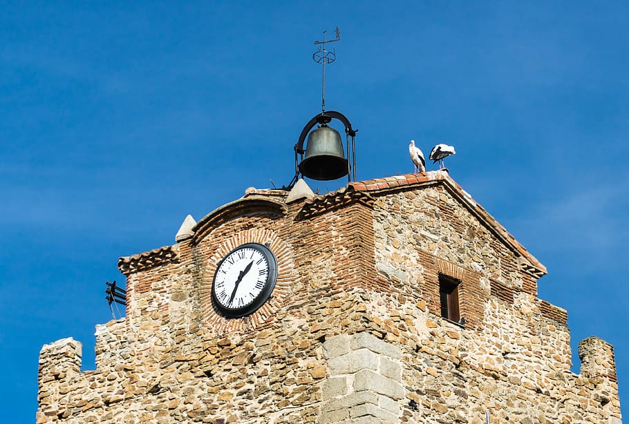 Stork, People, Bell Tower, Tower, Clock, campaign, hour, facade HD wallpaper