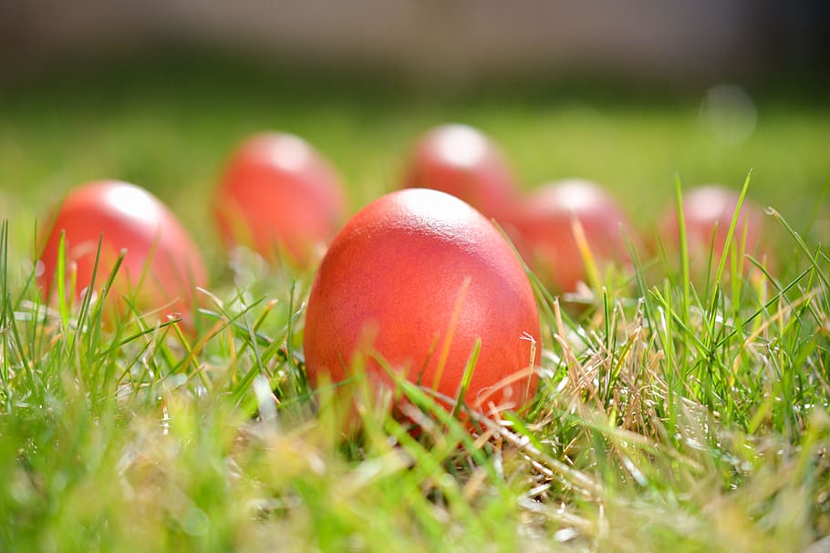 Easter, Eggs, Colors, Spring, color eggs, red, easter time HD wallpaper