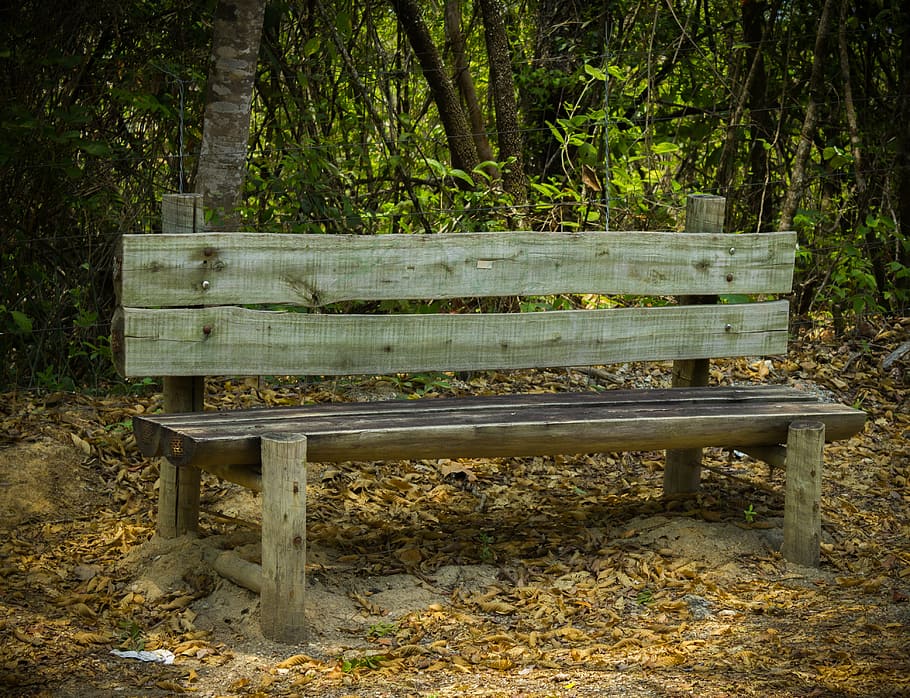 bank, stool, leaves, trees, mato, bench, nature, outdoors, wood - Material HD wallpaper