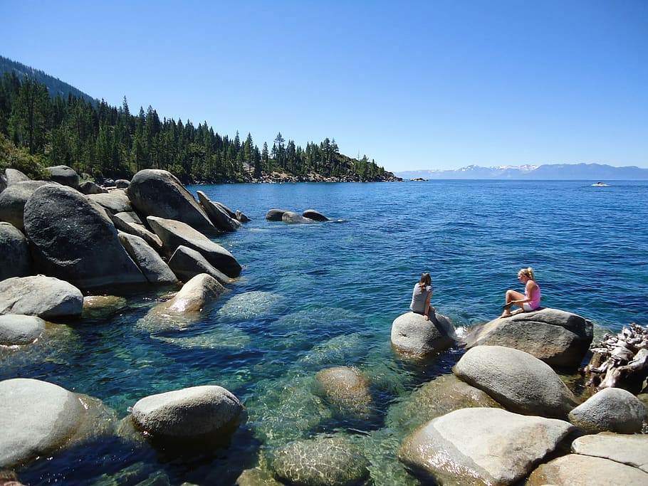Tourist, Lake Tahoe, California, bolders, water, nature, animal wildlife, HD wallpaper