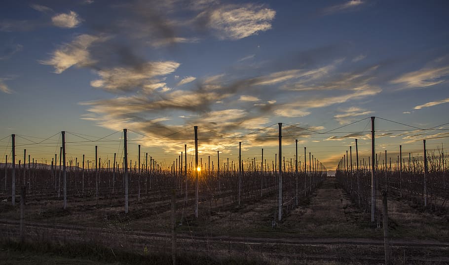 Scenery Fences Overseeing Orange Sunset, clouds, dark, dusk, environment HD wallpaper