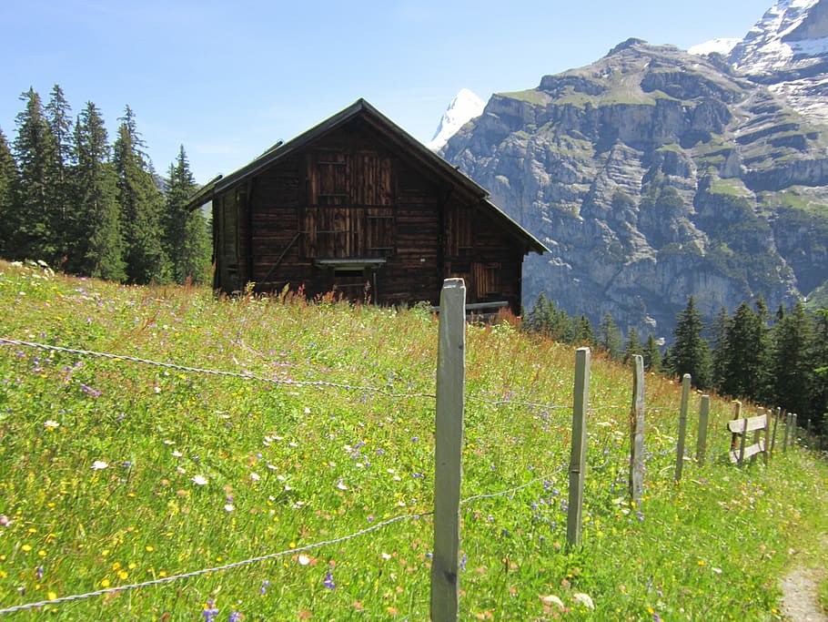 Alps, Lodge, Path, Alpine, Hiking, mountain, vacation, hut HD wallpaper