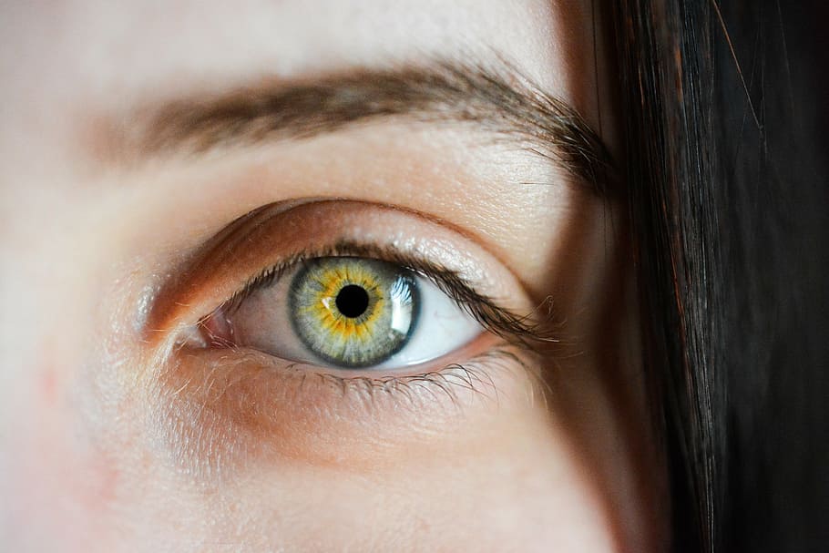 portrait photography of woman's yellow and gray eye, iris, algae