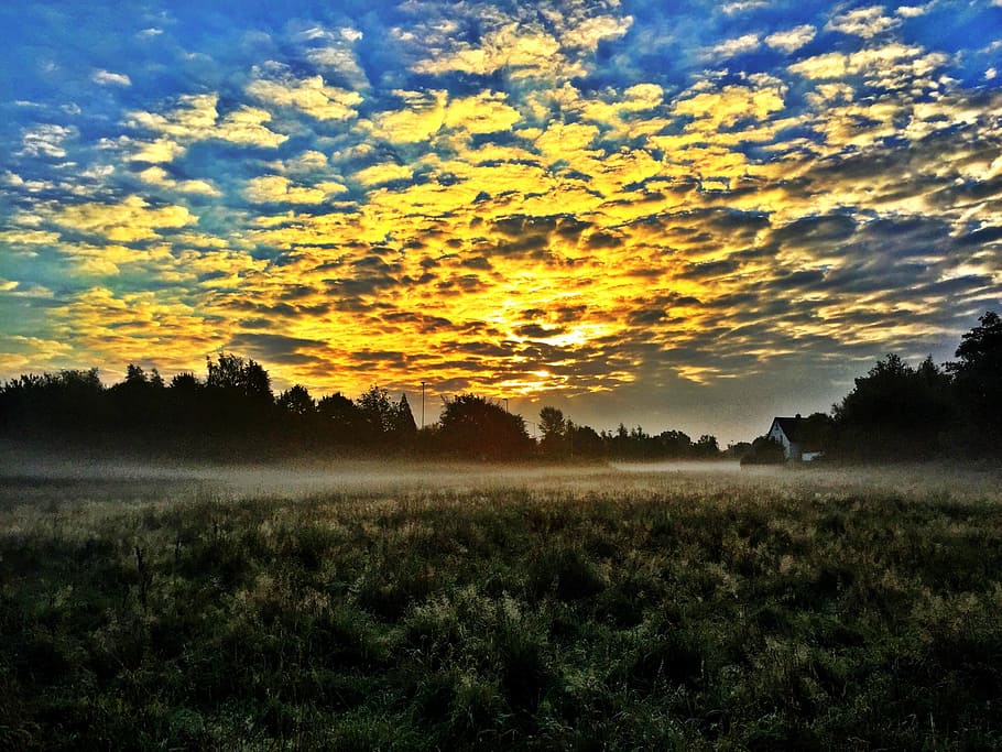 Skyline, Sky, Germany, Clouds, Fog, blue, morning, mood, yellow HD wallpaper