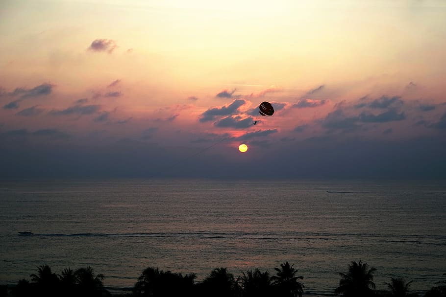 silhouette of trees and parachute near seashore during golden hours, aerial photo of body of water HD wallpaper
