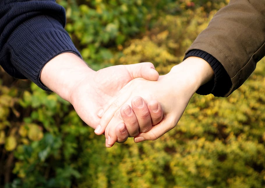 selective focus photography of two person's holding hands wearing brown and black long sleeve tops with yellow petaled flowers as a background HD wallpaper