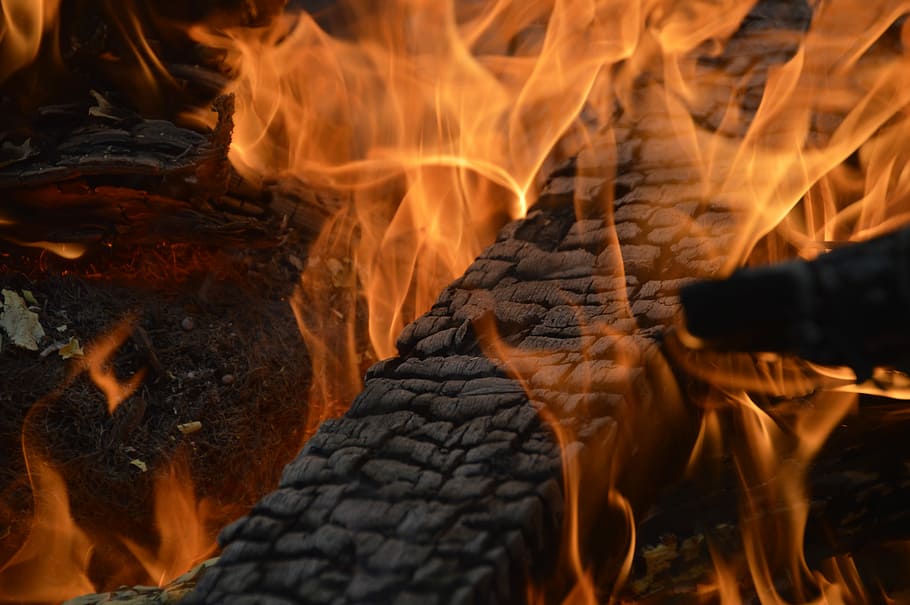 Fire, Burn, Campfire, Flame, Wood, wood fire, brand, flame log fire HD wallpaper