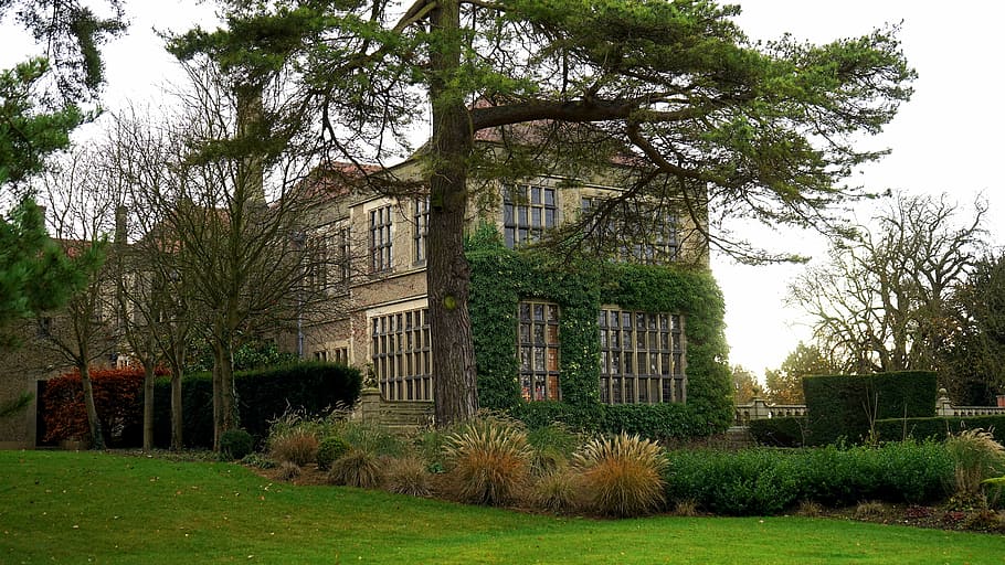 architecture, building, grass, tree, windows, house, building exterior HD wallpaper