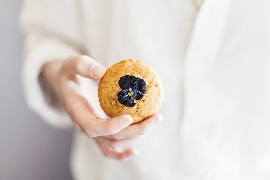 person holding brown cookie, person holding cookie, biscuit, hand HD wallpaper