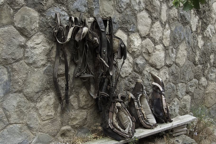 objects, old harness, horses, wall - building feature, no people HD wallpaper