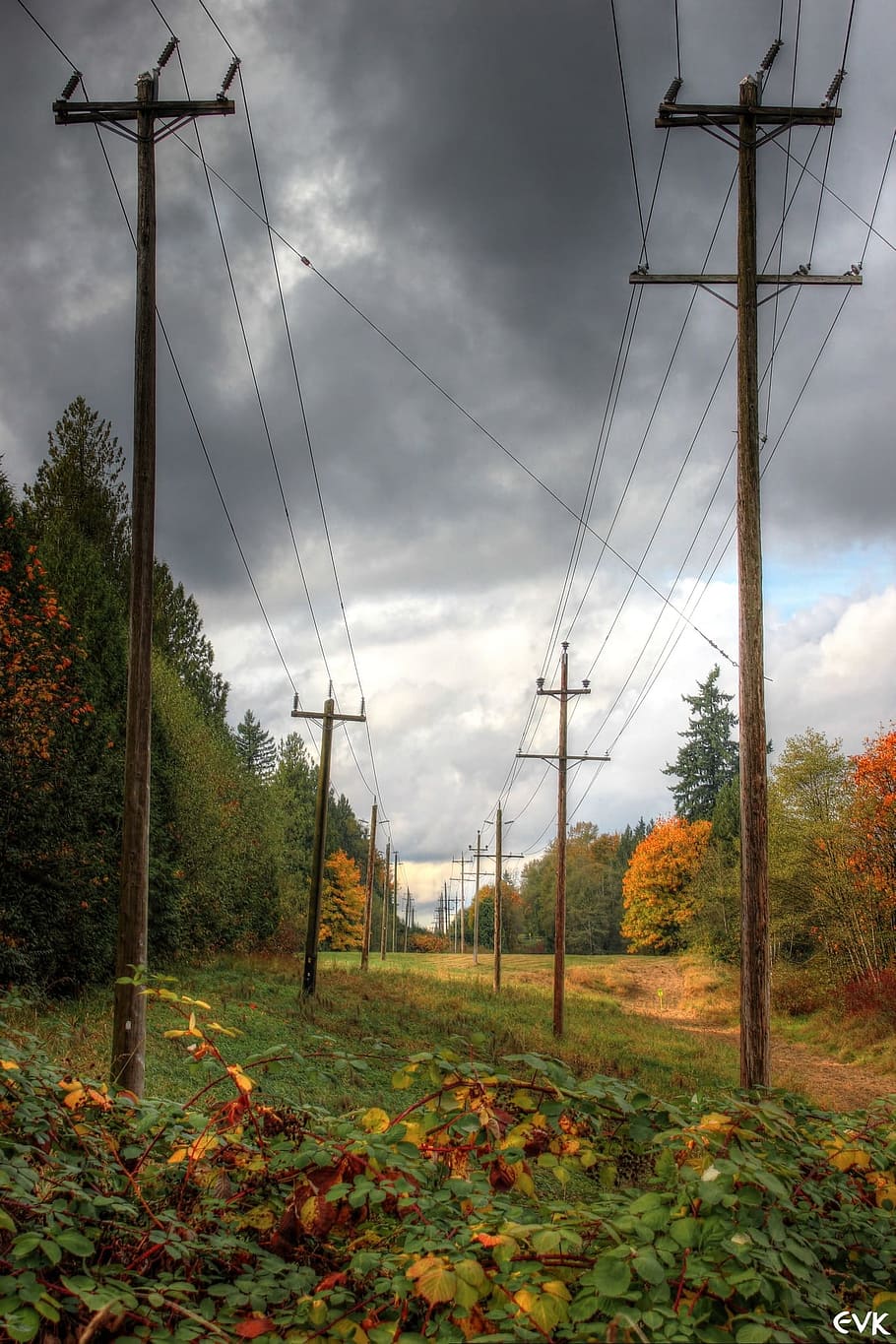 Power Lines, Electrical, La, Landscape, electricity, energy HD wallpaper