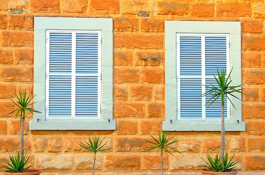 green plants near windows, shutters, shuttered windows, home