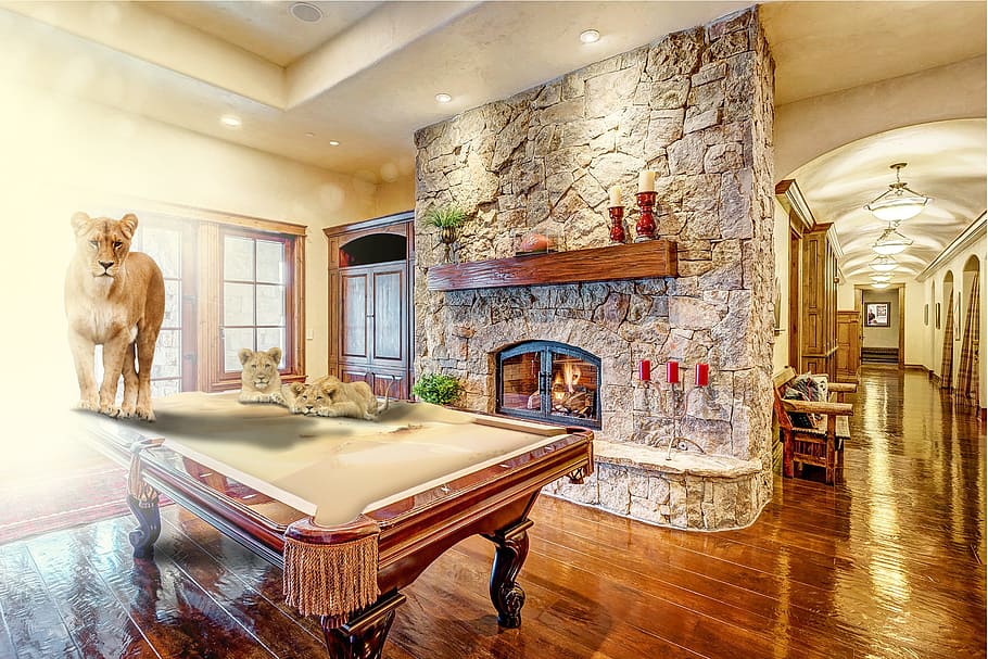 lion, pool, billiards, building, chic, pool table, pool billiards HD wallpaper