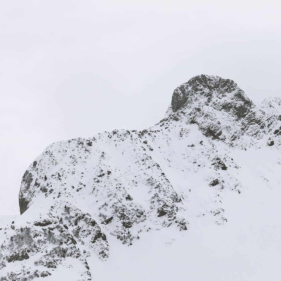 mountain, cold, snow, winter, snow-covered, wintry, eiskristalle HD wallpaper