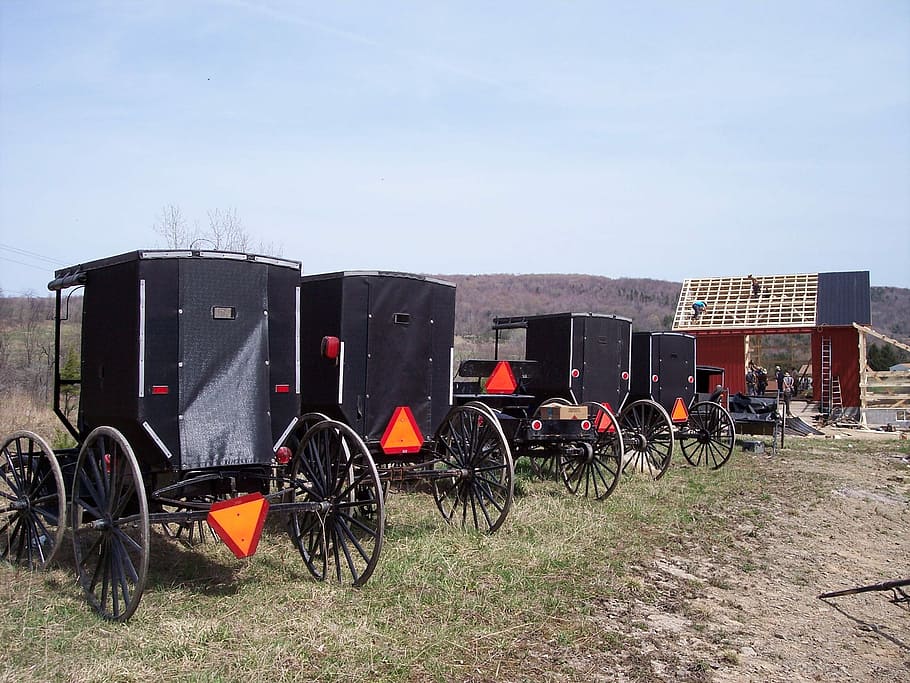 Amish Man Picture Background Images, HD Pictures and Wallpaper For Free  Download | Pngtree