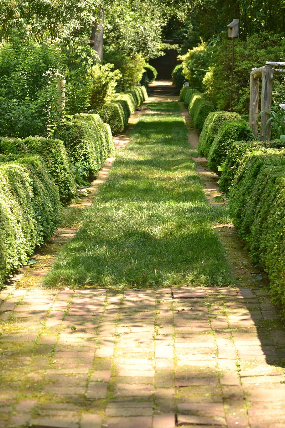 path, garden, stone, pathway, green, landscape, hedges, brick HD wallpaper