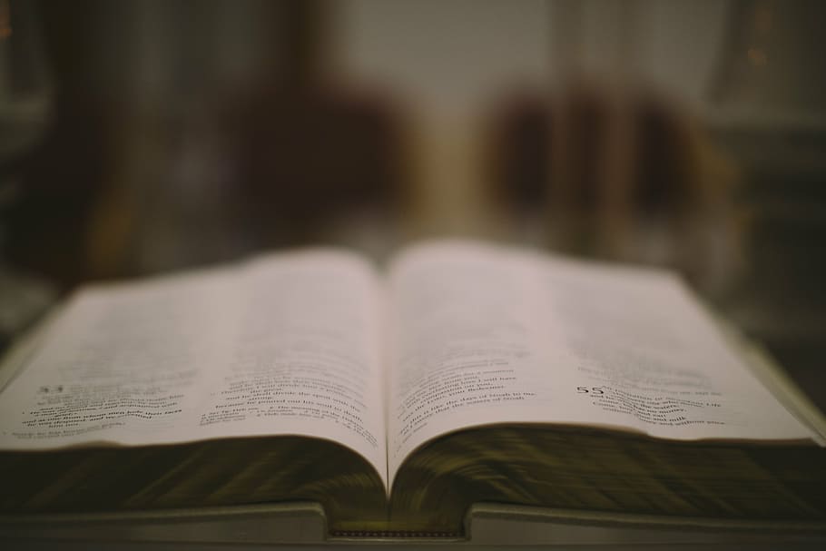 close-up photo of opened book, white, printed, page, reading HD wallpaper