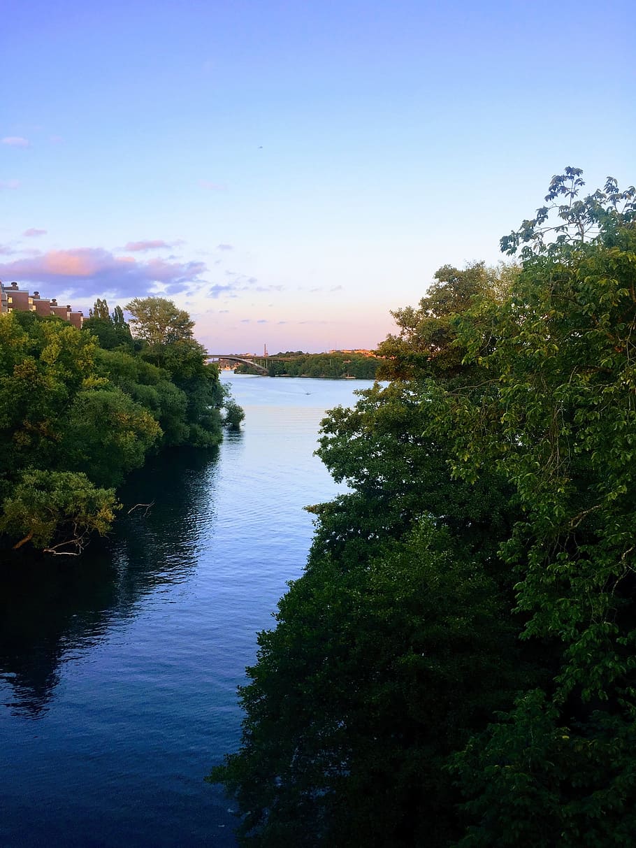 stockholm, river, sunset, plant, tree, water, sky, tranquil scene HD wallpaper