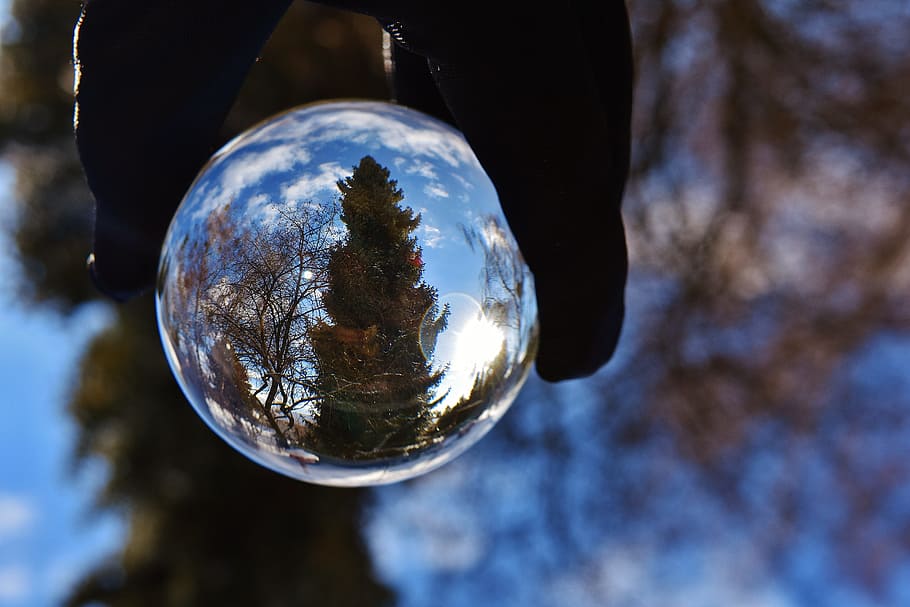 Ball, Sky, Blue, Mirroring, Transparent, trees, clouds, glass ball HD wallpaper