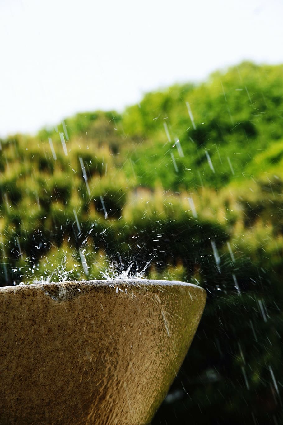fountain, output, tabitha, nature, summer, cool, water, close-up HD wallpaper
