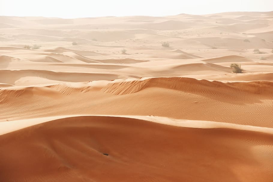 brown desert field, sand dune during daytime, layers, dunes, heat HD wallpaper