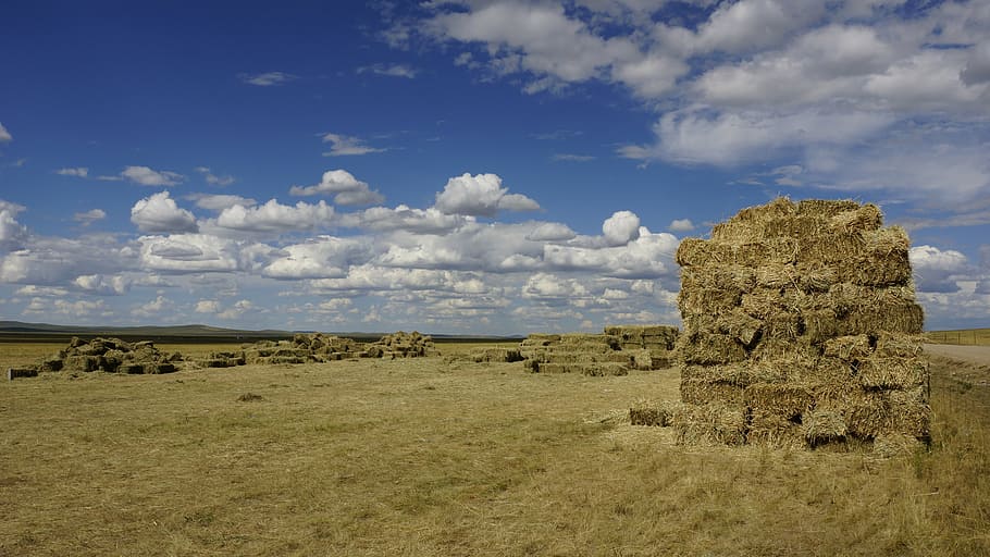 prairie, haystack, blue sky and white clouds, bale, agriculture HD wallpaper