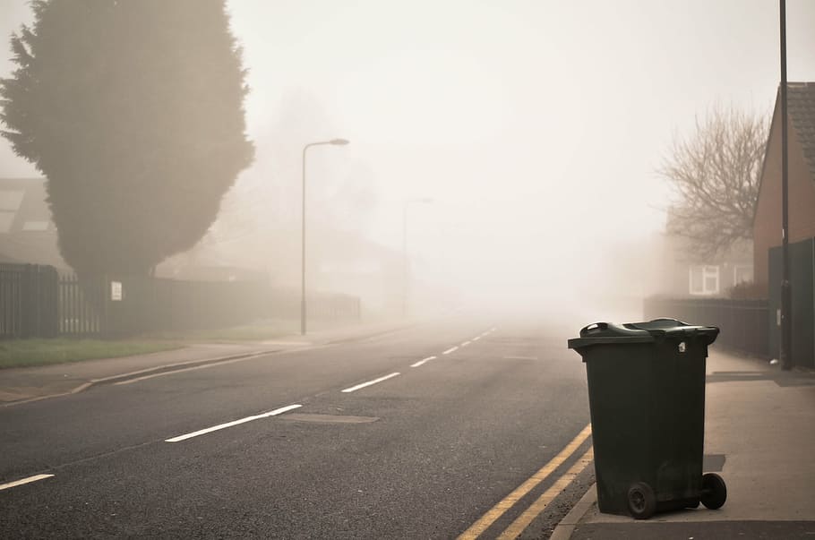 green trash bin near gray road, street, plant, outdoor, foggy, HD wallpaper